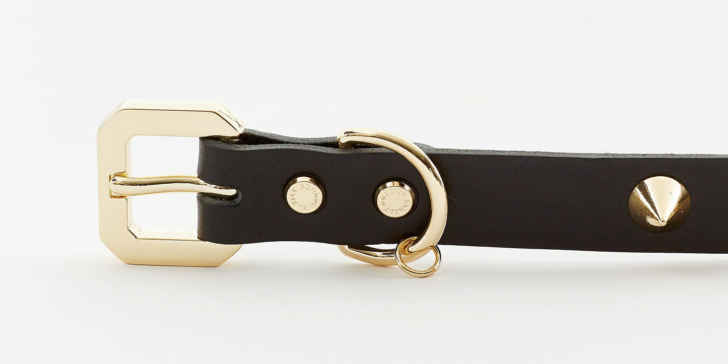Golden Spike Black Collar - Barky