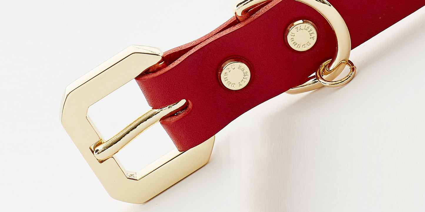 Golden Spike Red Collar - Barky