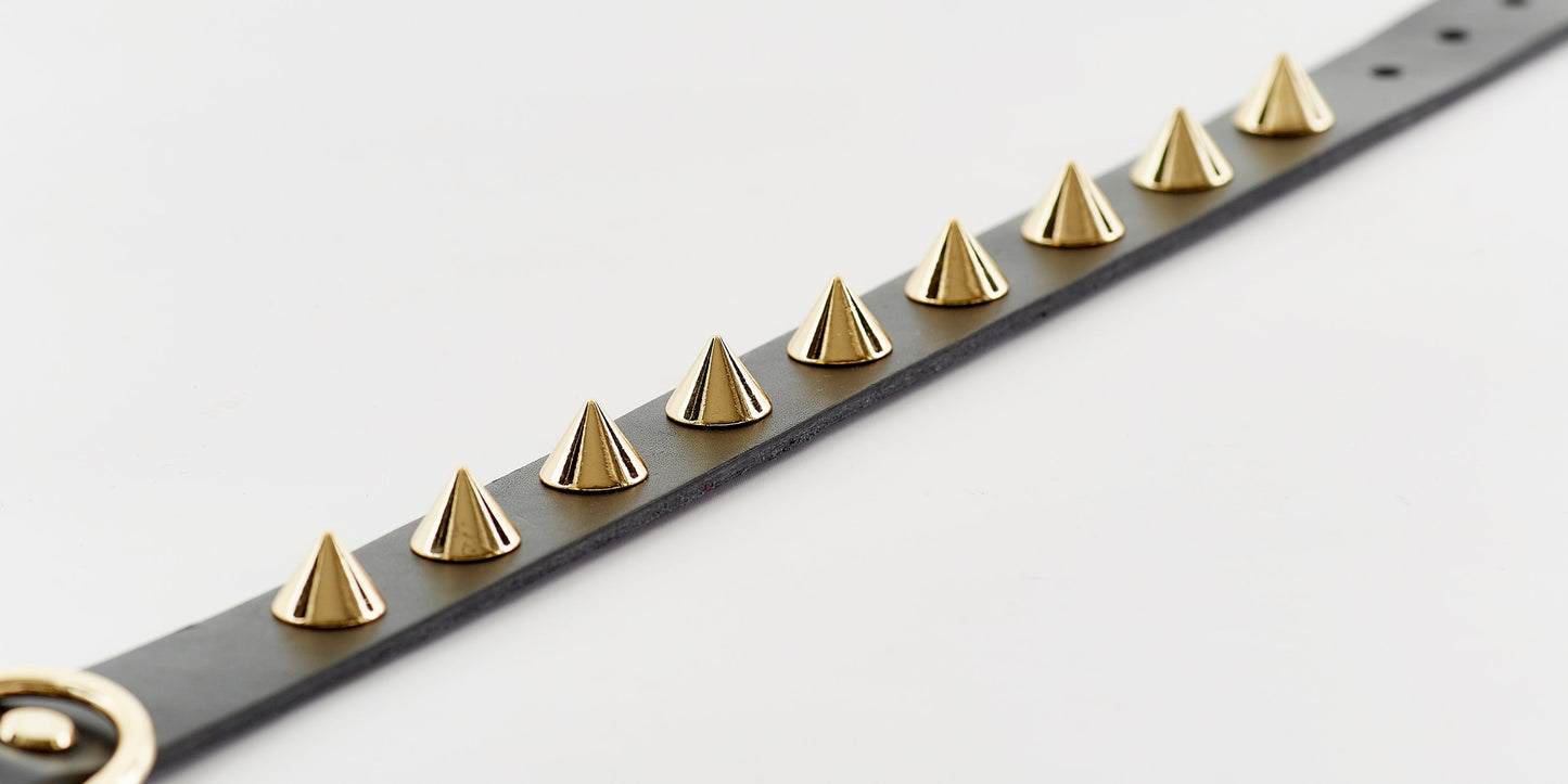Golden Spike Black Collar - Barky