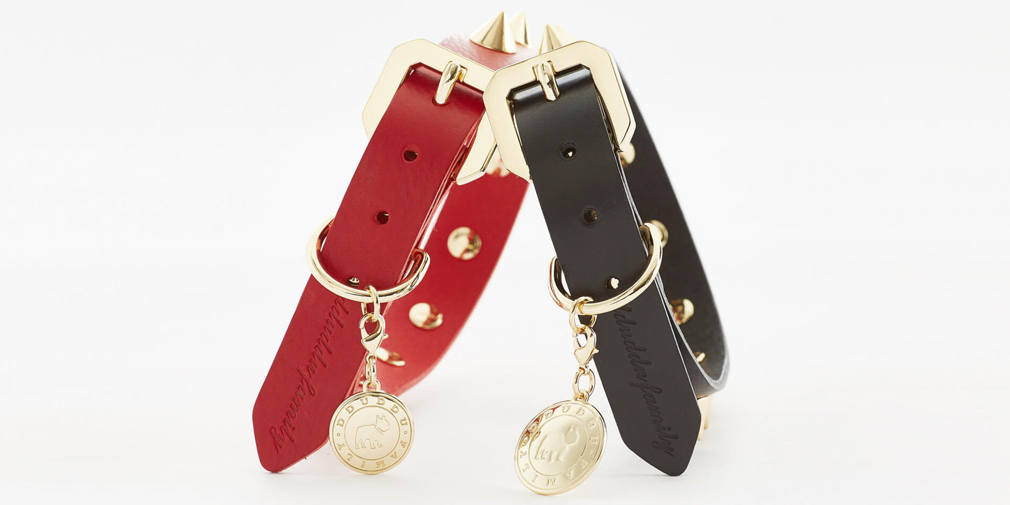 Golden Spike Red Collar - Barky
