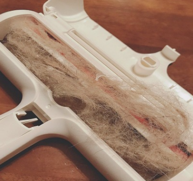 Pet Hair Remover - Barky