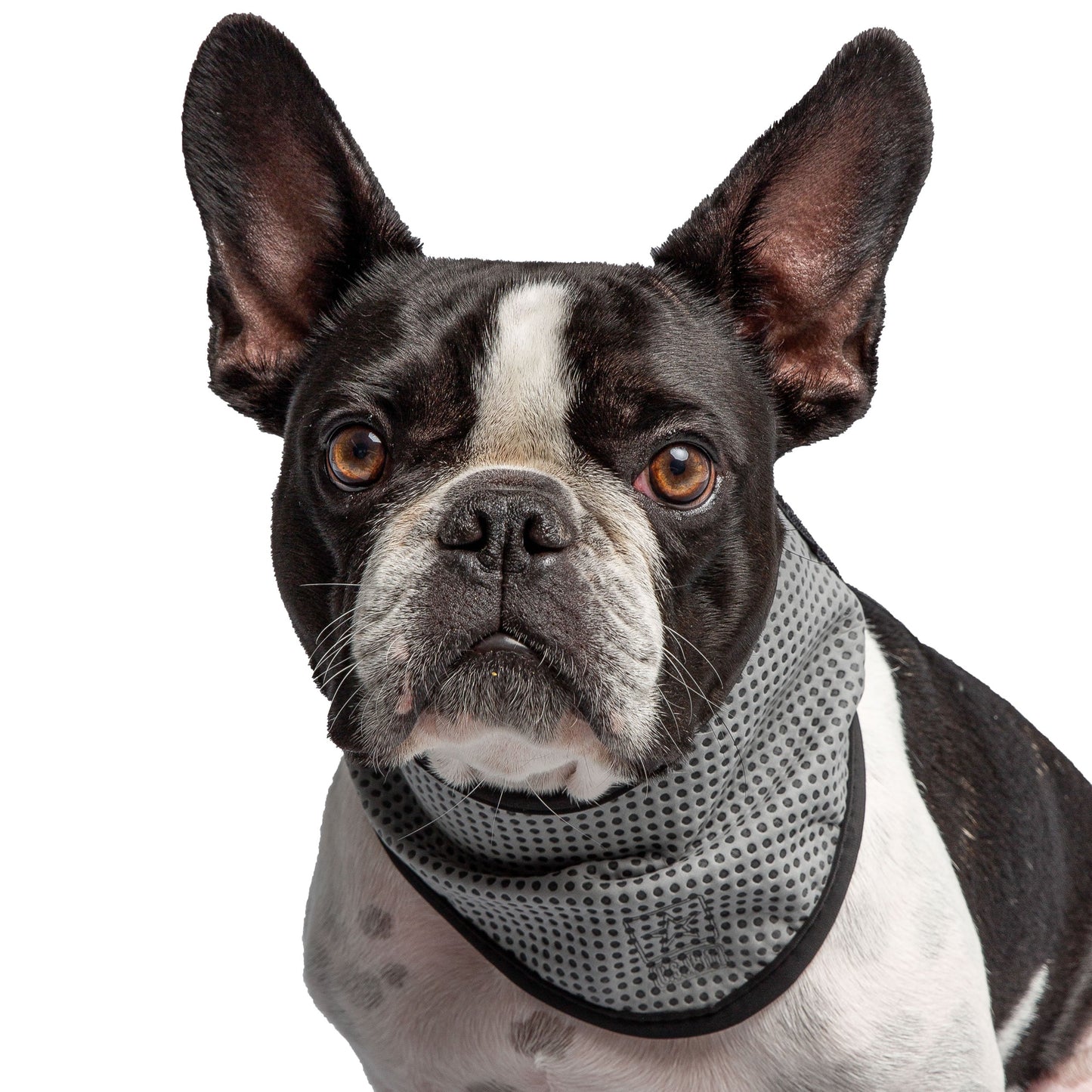 U.S. Army Dog Cooling Bandana - Grey - Barky