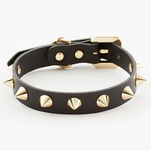 Golden Spike Black Collar - Barky