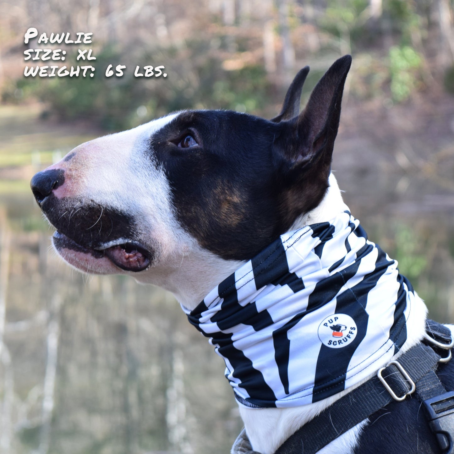 Zebra Pup Scruff Neck Cover - Barky