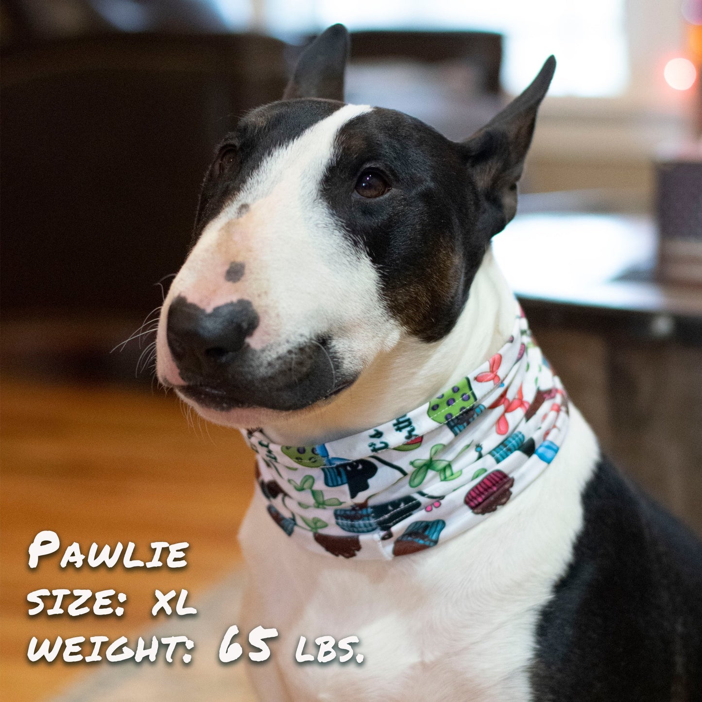 Birthday Pawty Pup Scruff Neck Cover - Barky