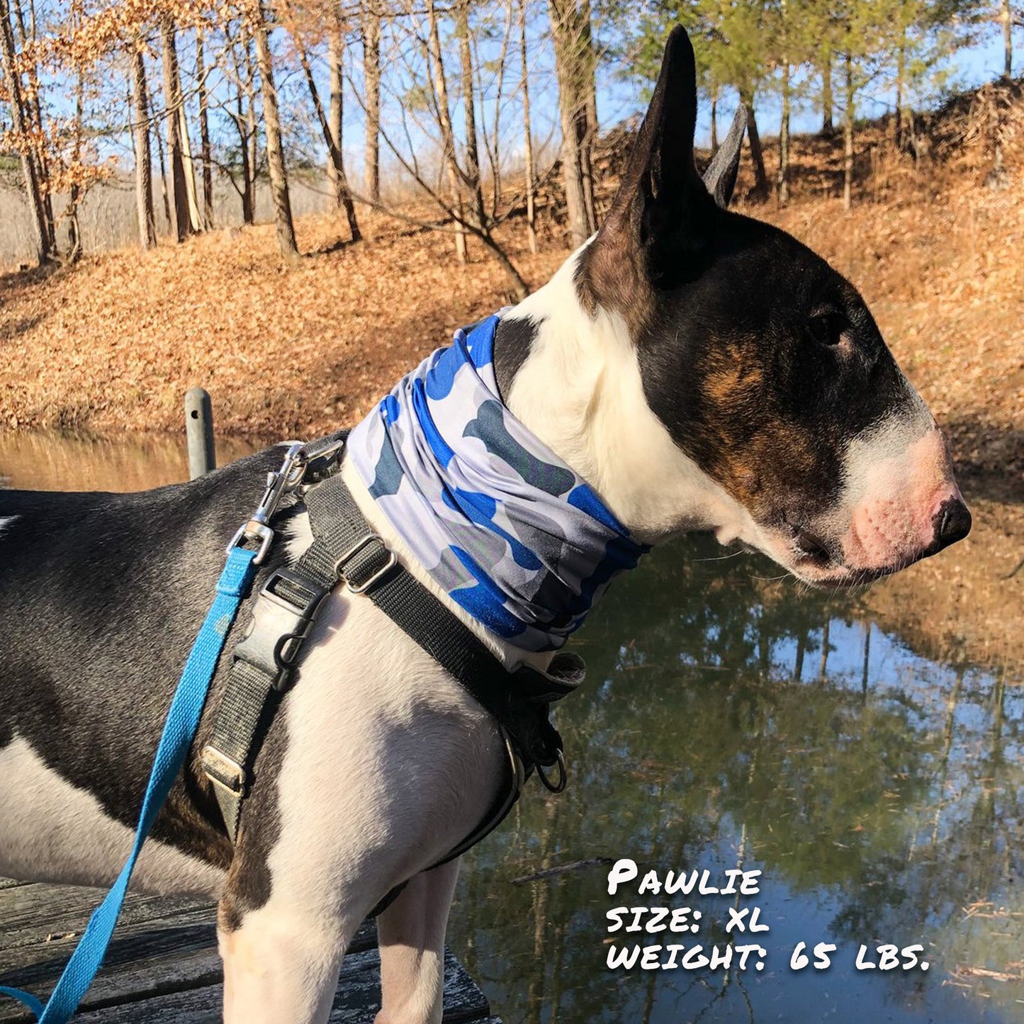 Bone Camo Blue Pup Neck Cover - Barky