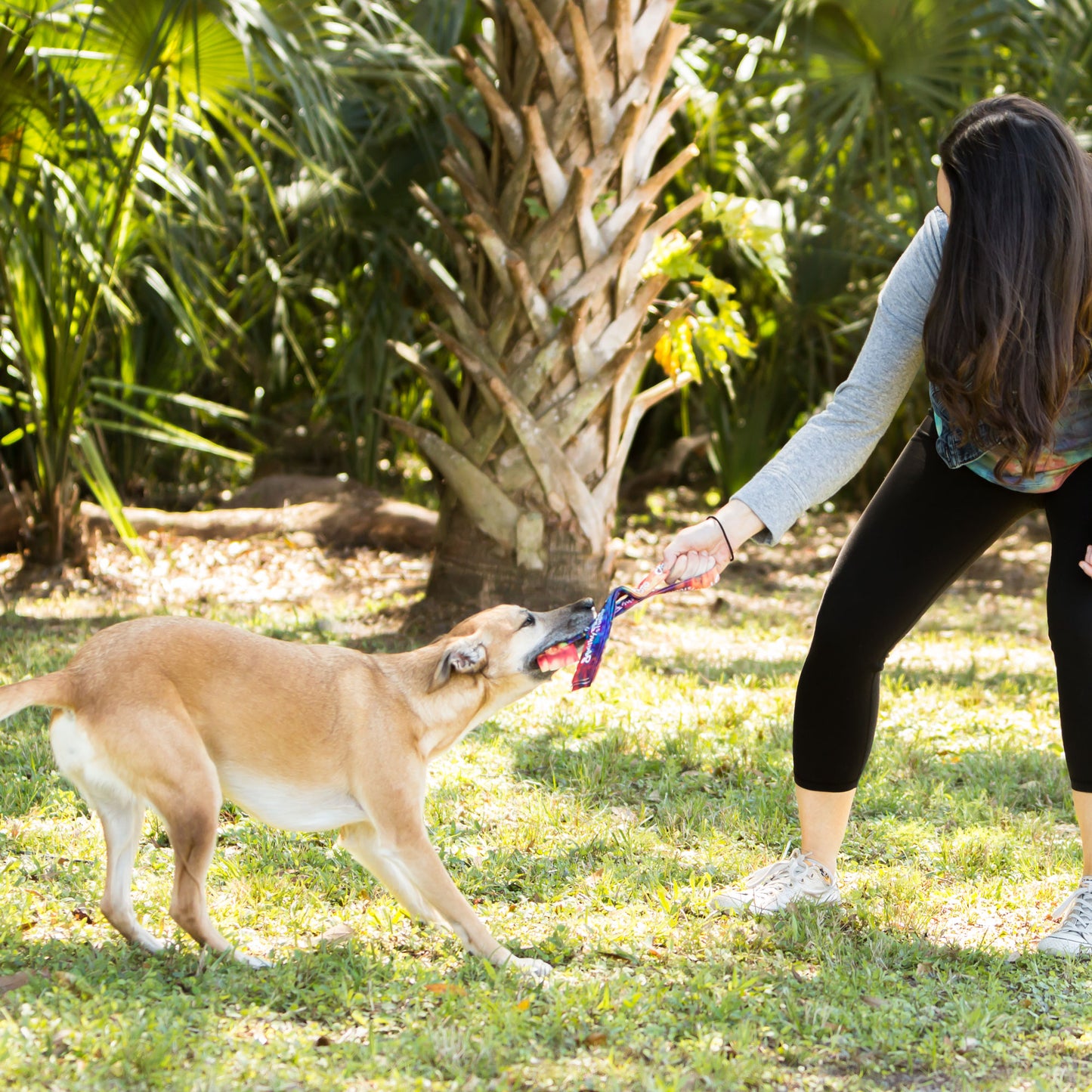 Squishy Face Studio Tug Toy - Barky