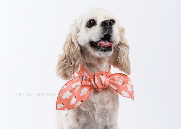 Penguin Form-Scarf - Barky
