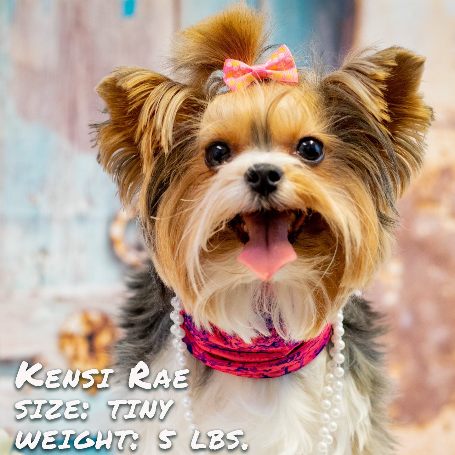 Rocky Road Pink Pup Scruff Neck Cover - Barky