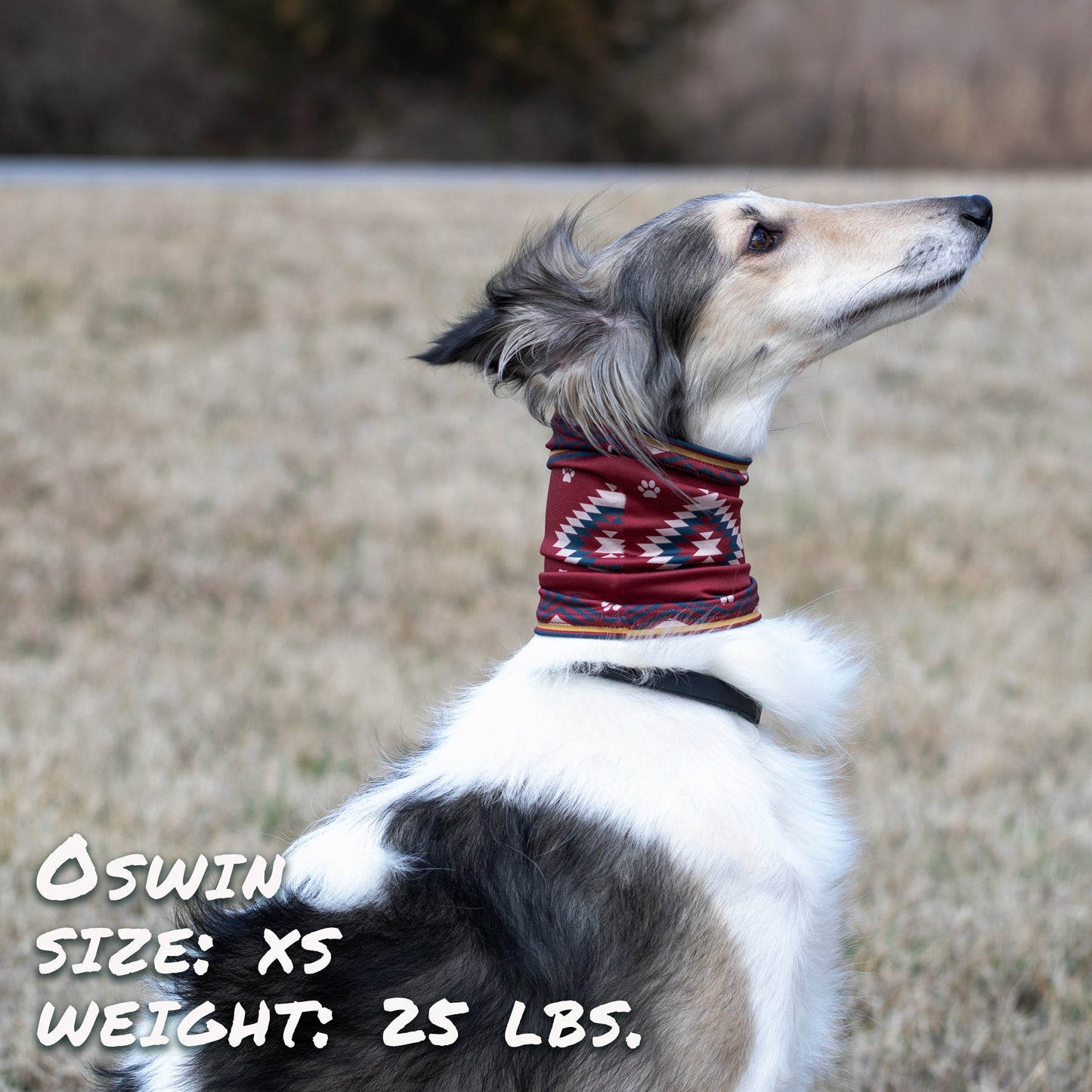SW Amigo Pup Scruff Neck Cover - Barky