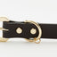 Golden Spike Black Collar - Barky