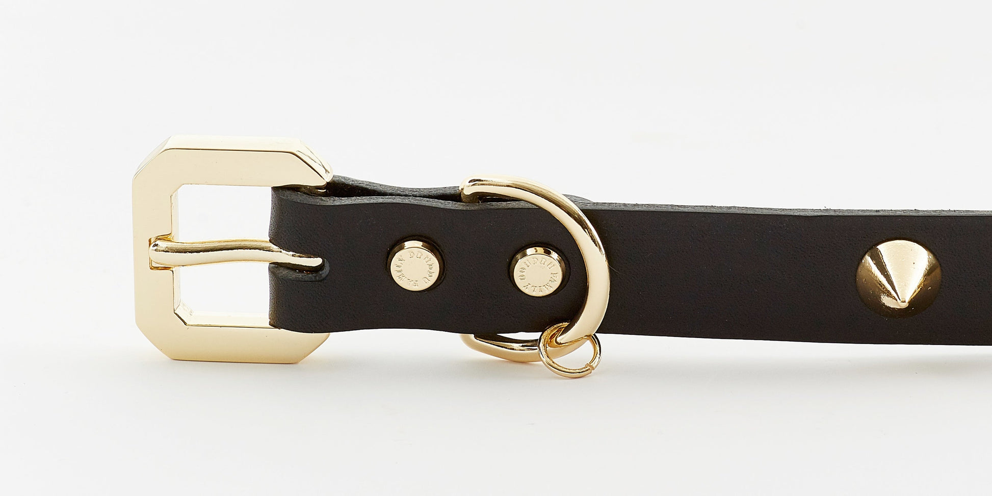 Golden Spike Black Collar - Barky