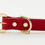 Golden Spike Red Collar - Barky