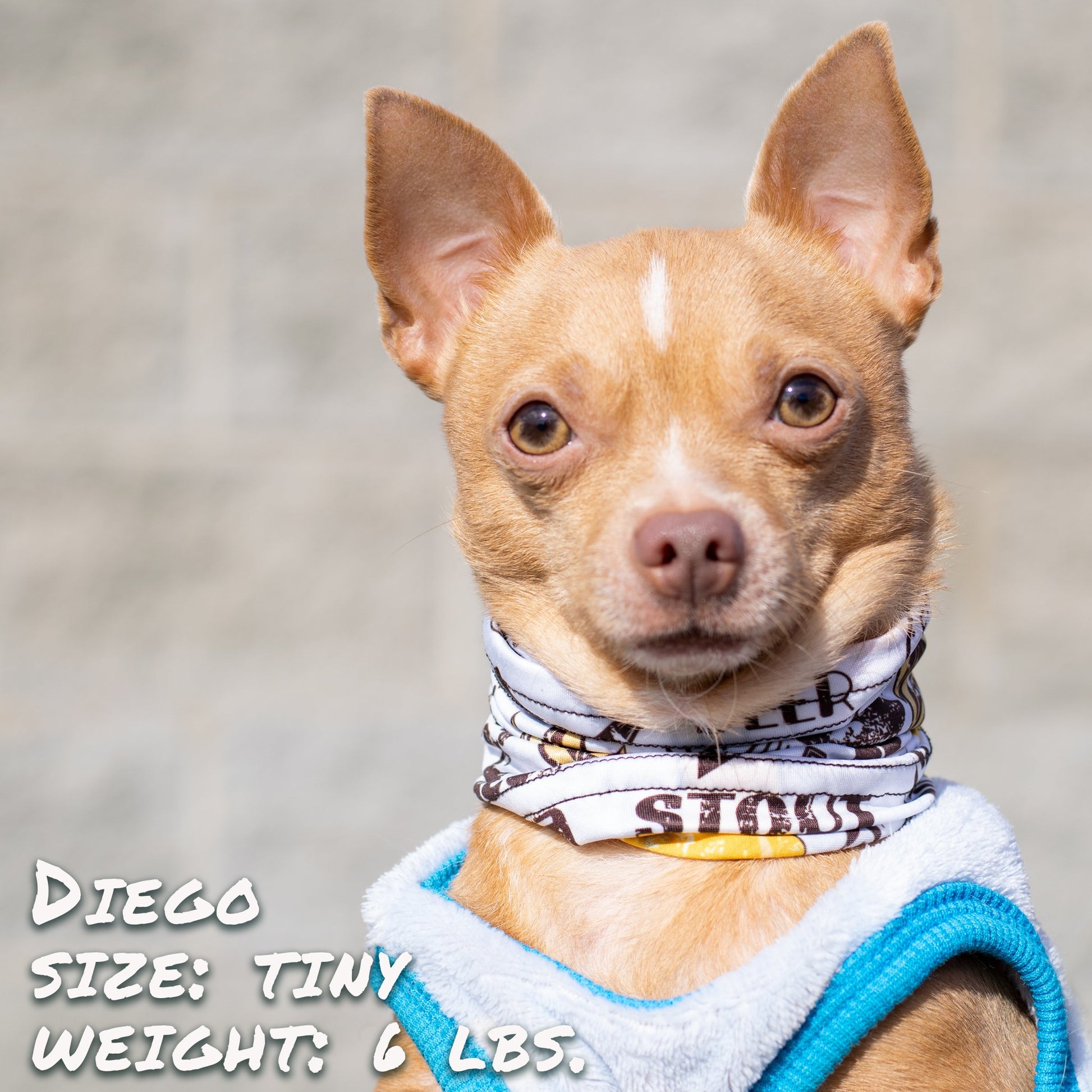 Beer Buddy Pup Scruff Neck Cover - Barky