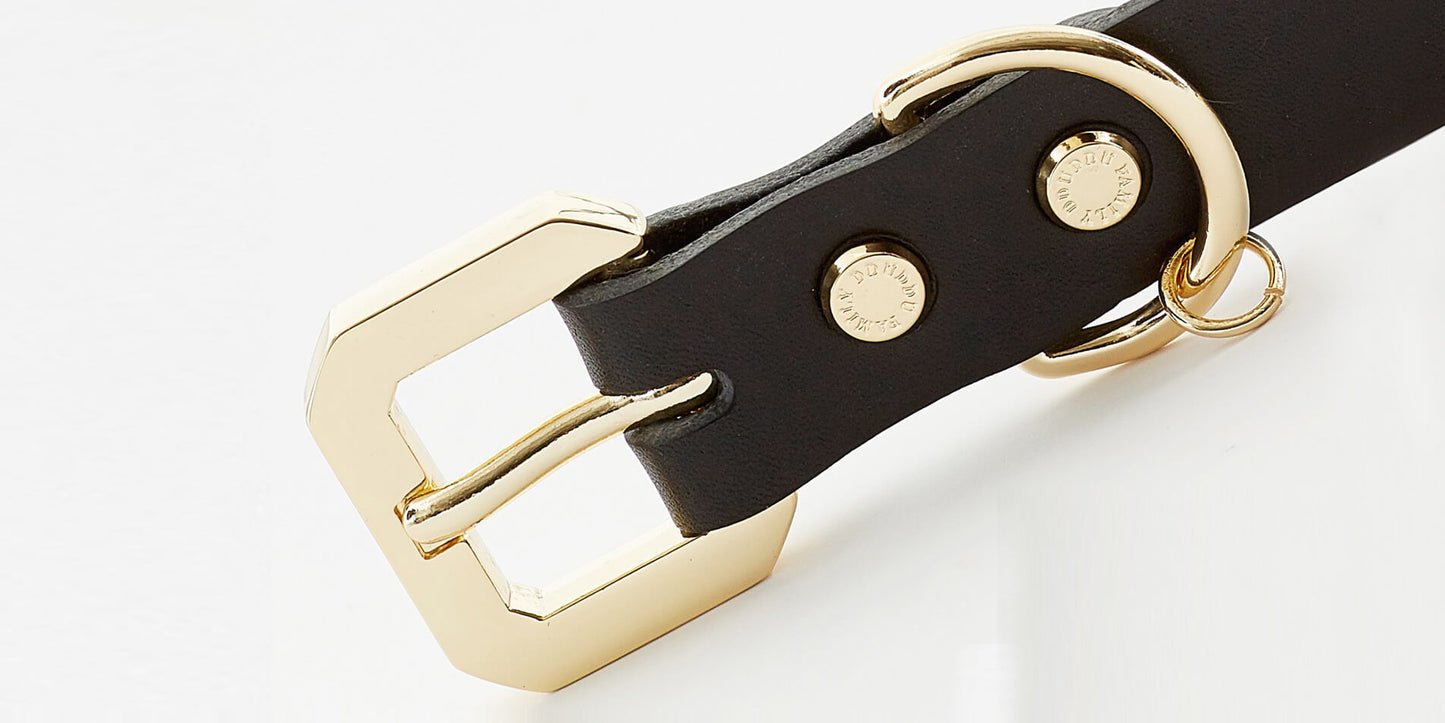 Golden Spike Black Collar - Barky