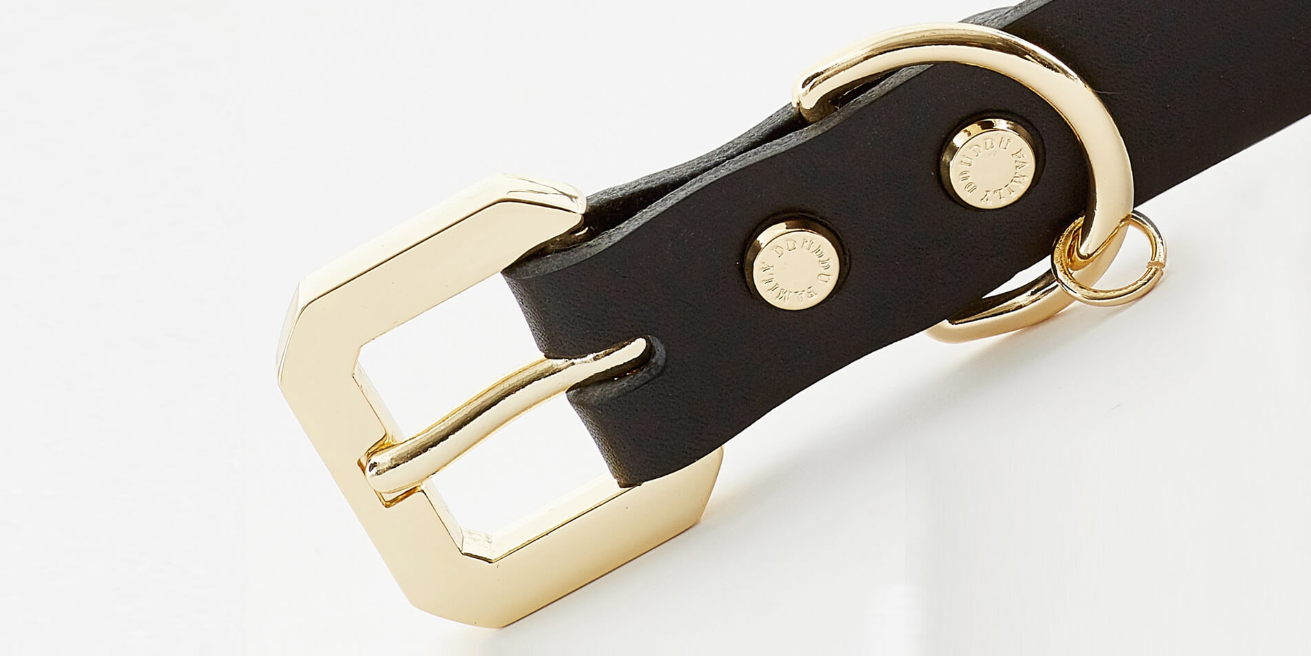 Golden Spike Black Collar - Barky