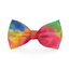 Rainbow Tie-Dye Dog Bow Tie - Barky