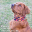 Leopawd Skin Pup Scruff Neck Cover - Barky