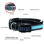 USB & Solar Charge Reflective LED Dog Collar - Barky