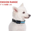 USB & Solar Charge Reflective LED Dog Collar - Barky