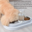 Stainless Steel Bowls w/ Automatic Water Bottle Dispenser - Barky