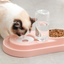 Stainless Steel Bowls w/ Automatic Water Bottle Dispenser - Barky