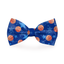 Basketball Sports Blue Dog Bow Tie - Barky