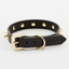 Golden Spike Black Collar - Barky