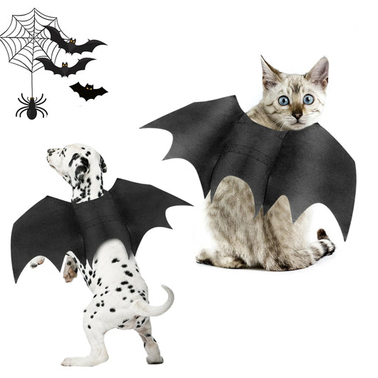 Halloween Bat Wings Costume - Barky