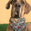 Playdate Material Dog Bandana - Barky