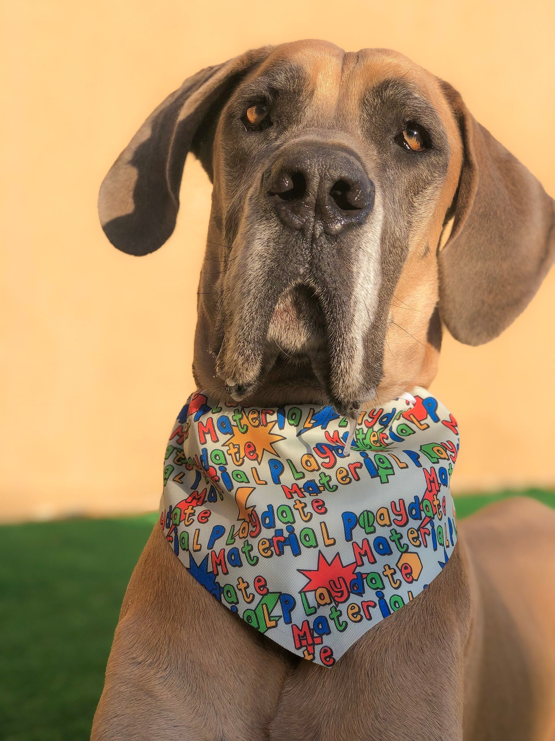 Playdate Material Dog Bandana - Barky