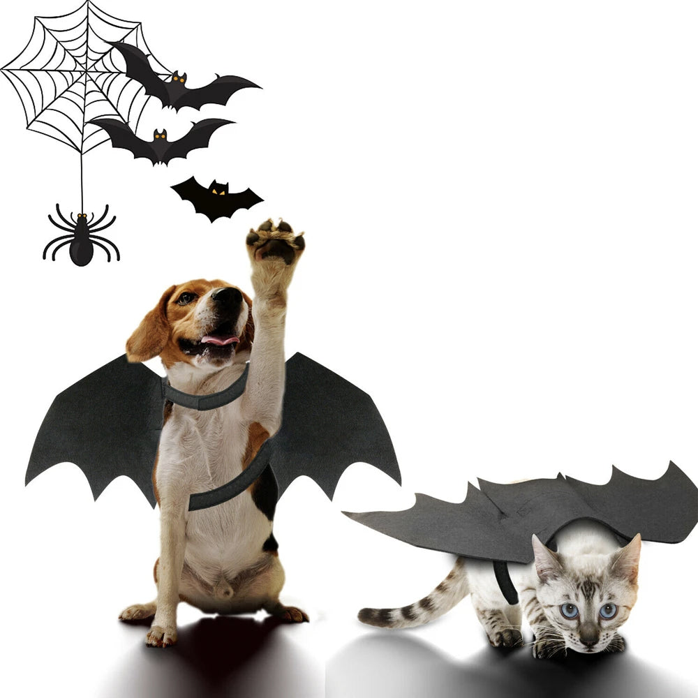 Halloween Bat Wings Costume - Barky