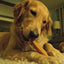 Gold Yak Chews for Large Dogs (1 lb to 5lb Bags) - Barky
