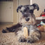 Gold Yak Chews for Large Dogs (1 lb to 5lb Bags) - Barky