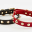 Golden Spike Black Collar - Barky