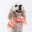 Penguin Form-Scarf - Barky