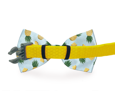 Preppy Pet Floral Dog Bow Tie - Barky